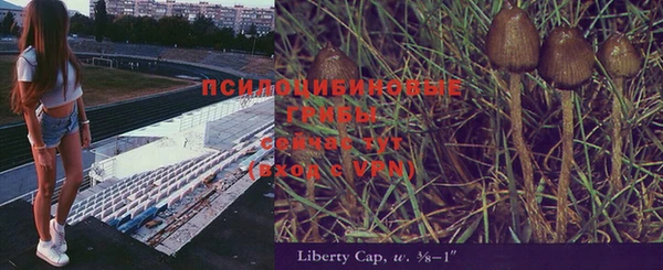 меф VHQ Куйбышев