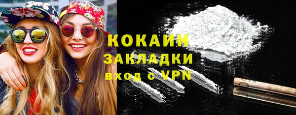 ГАЛЛЮЦИНОГЕННЫЕ ГРИБЫ Кулебаки