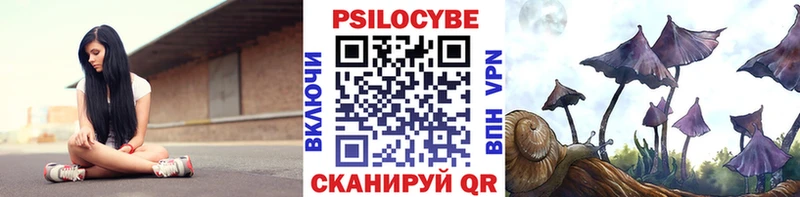 Галлюциногенные грибы MAGIC MUSHROOMS  Купить где  Няндома 